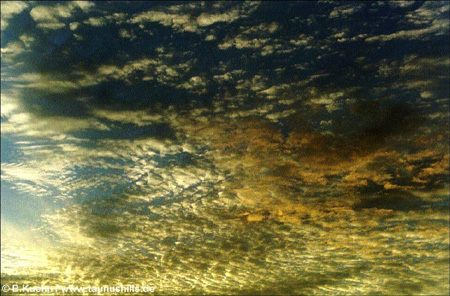 ©056_12